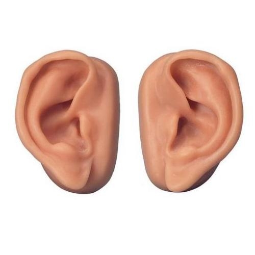 [3B]N16침술귀실습모형(10개세트)/Acupuncture Ears Set for 10 Students